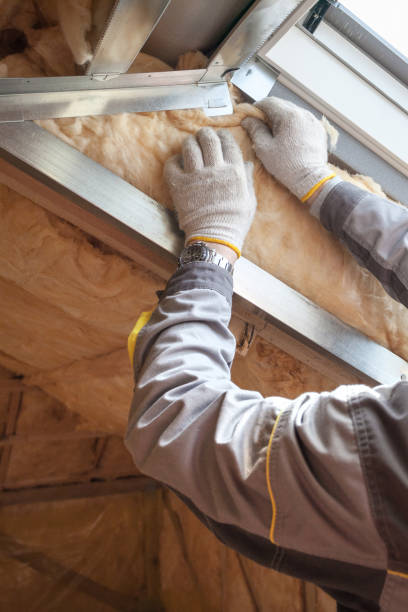 Best Insulation Replacement Services  in Hyde, PA